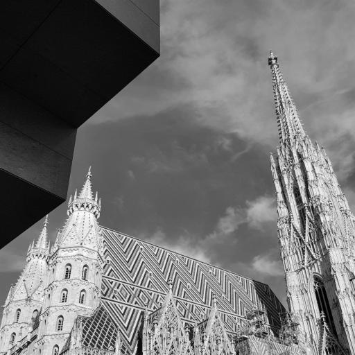 About Vienna